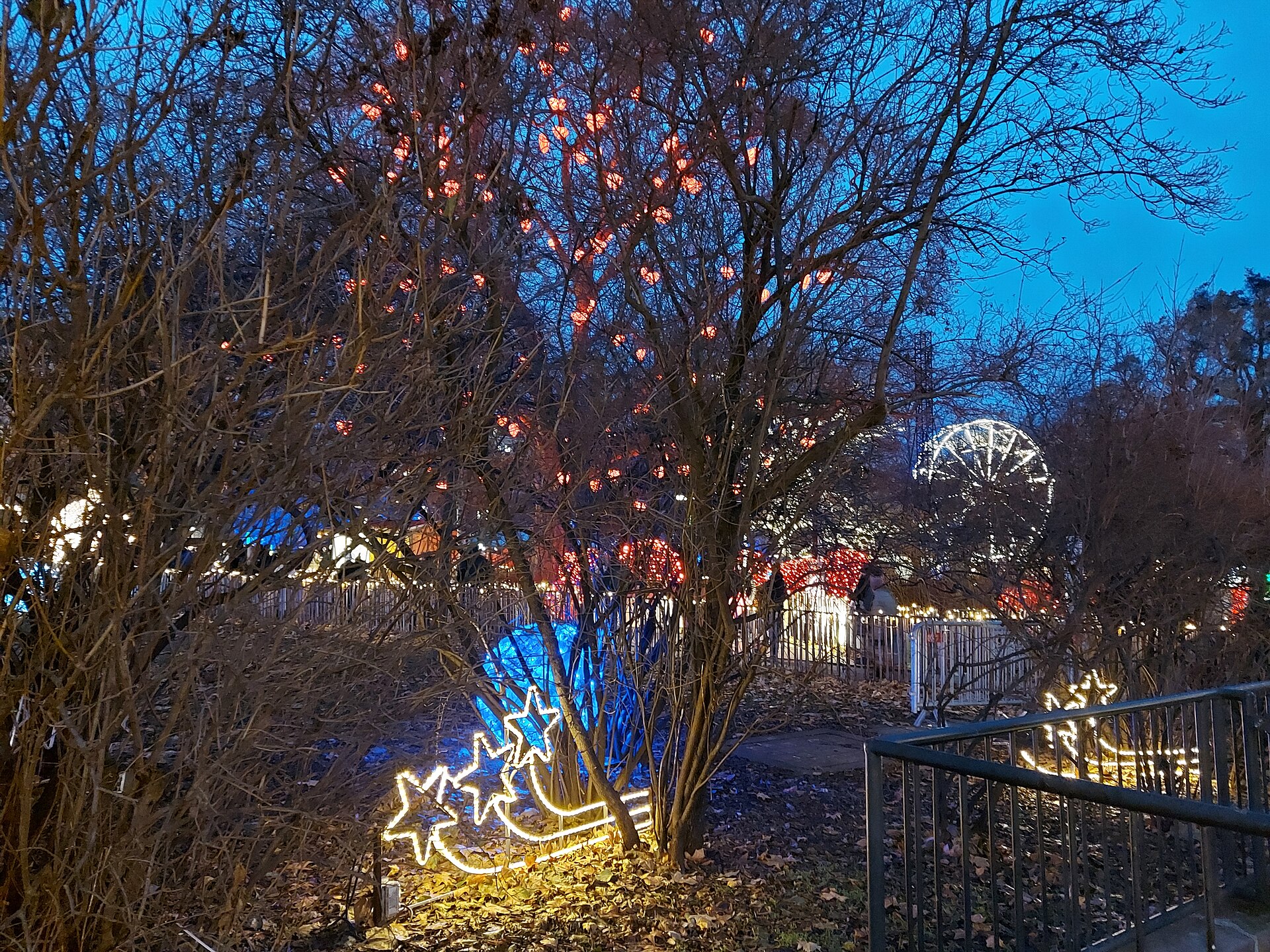 Lit trees and a Ferris wheel at the Christmas market on Rathausplatz in Vienna at dusk